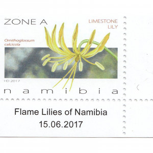 Flame Lilies of Namibia Single Set