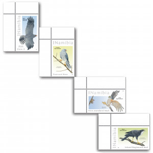 Sparrowhawks and Goshawks Single Set