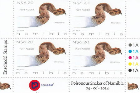 Snakes of Namibia