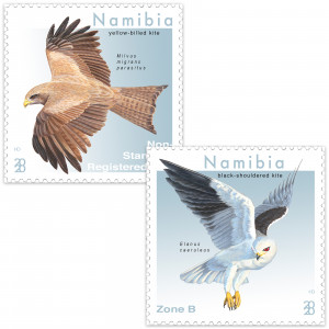 Kites of Namibia