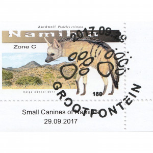 Small Canines of Namibia Single Set