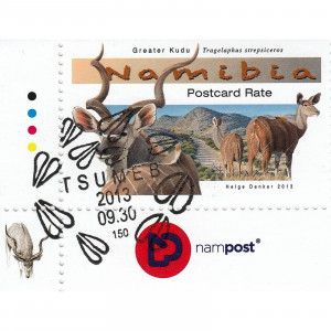 Large Antelopes of Namibia