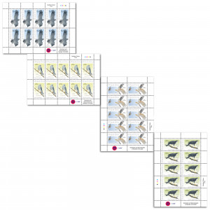 Sparrowhawks and Goshawks Full Sheet