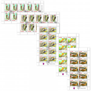 woodpeckers of namibia Full Sheet