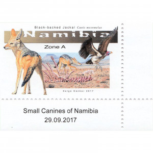 Small Canines of Namibia Single Set