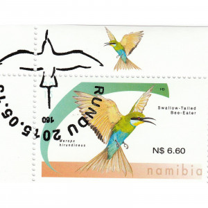 Bee-eaters Single Set