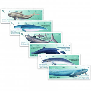 Whales of Namibia Single Set