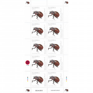 Beetles of Namibia