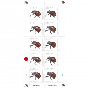 Beetles of Namibia