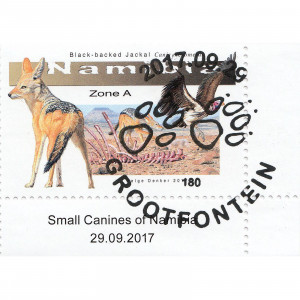 Small Canines of Namibia Single Set