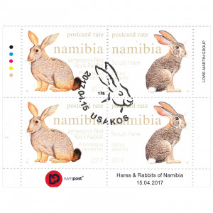 Hares & Rabbits of Namibia