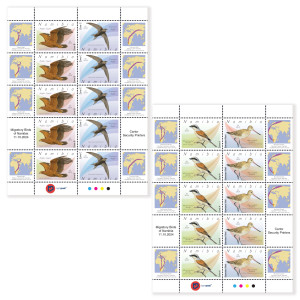 Migratory Birds