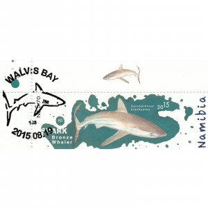 Sharks of Namibia Single Set