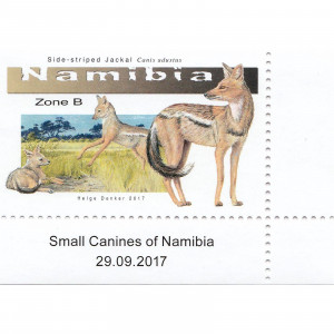 Small Canines of Namibia Single Set