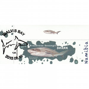 Sharks of Namibia Single Set