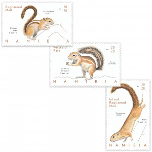squirrels of namibia Single Set