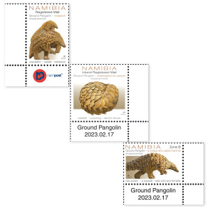 Pangolin Single Set