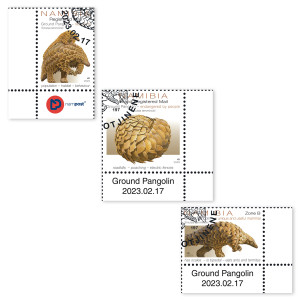 Pangolin Single Set